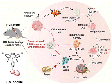 image file: d5cc07360j-f24.tif
