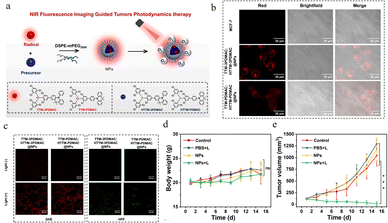 image file: d5cc07360j-f25.tif