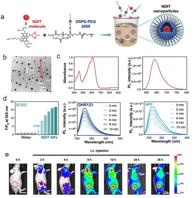 image file: d5cc07360j-f26.tif