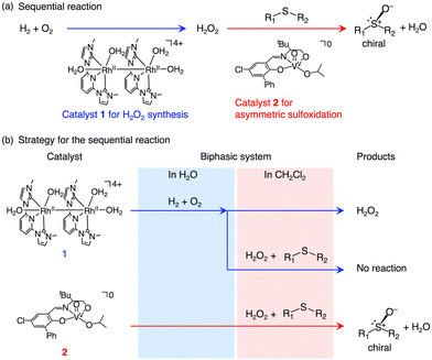 image file: d6cc00169f-f1.tif
