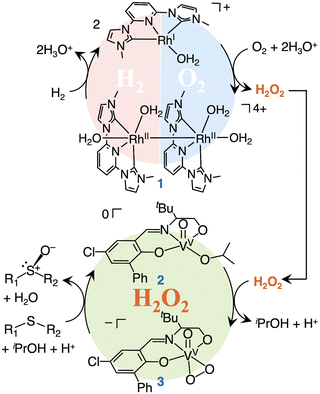 image file: d6cc00169f-f4.tif