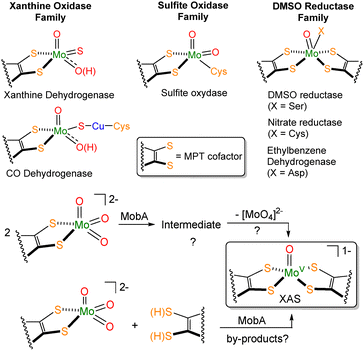 image file: d6cc00178e-f1.tif