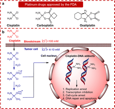 image file: d6cc00284f-f1.tif