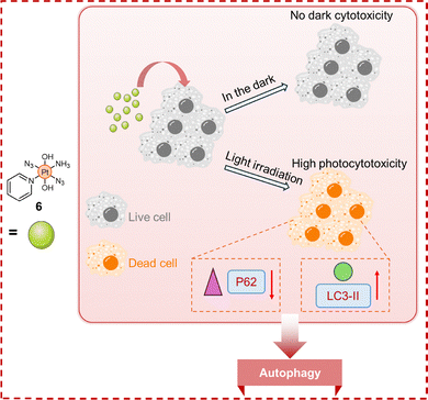 image file: d6cc00284f-f10.tif