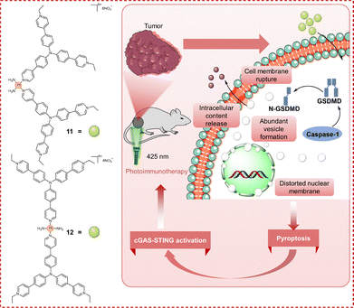 image file: d6cc00284f-f16.tif