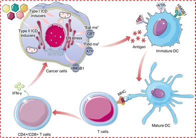 image file: d6cc00284f-f18.tif