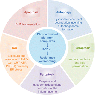 image file: d6cc00284f-f22.tif