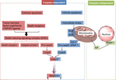 image file: d6cc00284f-f4.tif