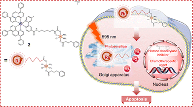 image file: d6cc00284f-f6.tif