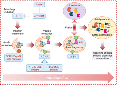 image file: d6cc00284f-f8.tif