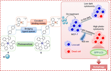 image file: d6cc00284f-f9.tif