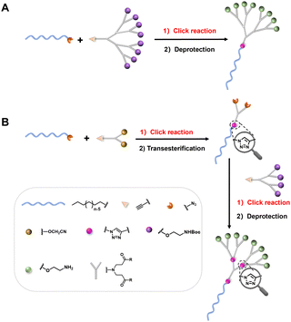 image file: d6cc00300a-f2.tif