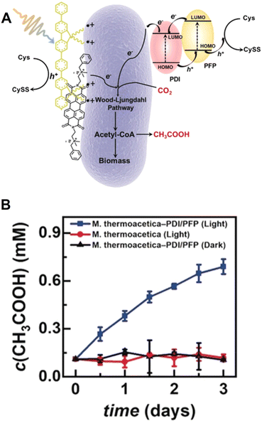 image file: d6cc00317f-f12.tif