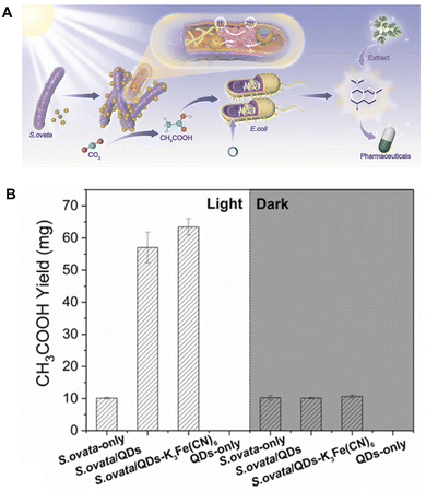 image file: d6cc00317f-f19.tif