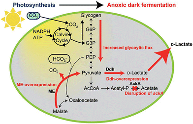 image file: d6cc00317f-f2.tif