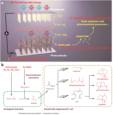 image file: d6cc00317f-f20.tif