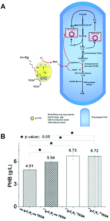 image file: d6cc00317f-f26.tif