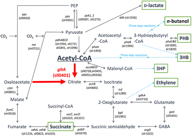 image file: d6cc00317f-f3.tif