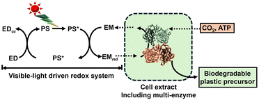 image file: d6cc00317f-f32.tif