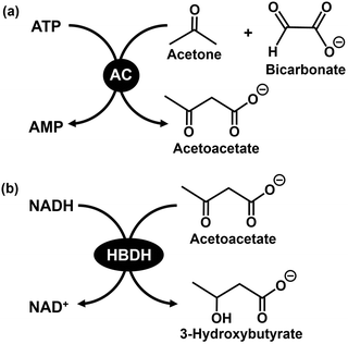 image file: d6cc00317f-f33.tif