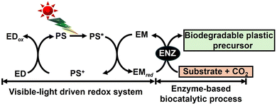 image file: d6cc00317f-f37.tif