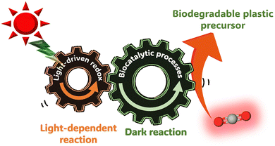 image file: d6cc00317f-f4.tif