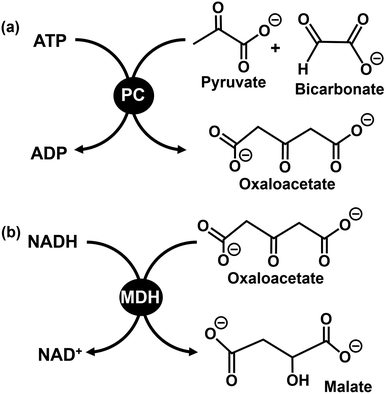 image file: d6cc00317f-f46.tif