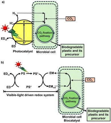 image file: d6cc00317f-f5.tif