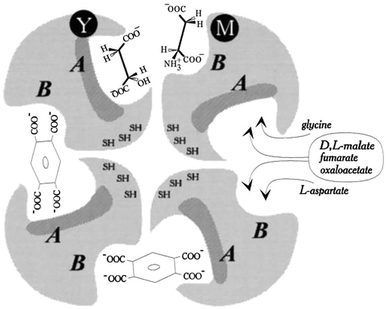 image file: d6cc00317f-f50.tif