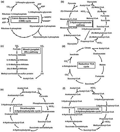image file: d6cc00317f-f6.tif