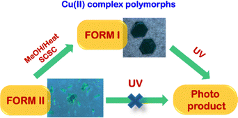 image file: d6cc00385k-s1.tif