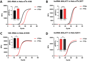 image file: d6cc00494f-f3.tif