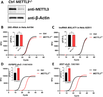 image file: d6cc00494f-f5.tif