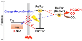 image file: d6cc00558f-s1.tif