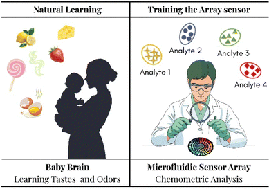 image file: d6cc00673f-f2.tif