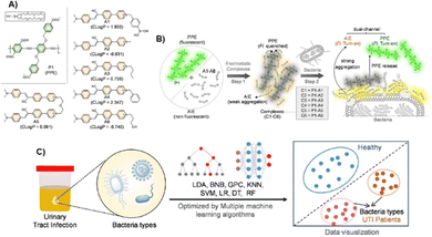 image file: d6cc00673f-f4.tif