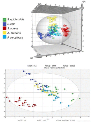 image file: d6cc00673f-f6.tif