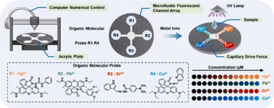 image file: d6cc00673f-f7.tif