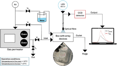 image file: d6cc00673f-f8.tif