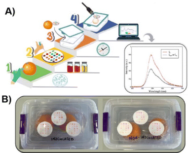 image file: d6cc00673f-f9.tif