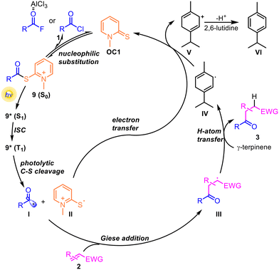 image file: d6cc00687f-s5.tif