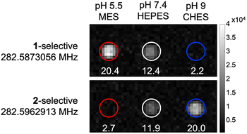 image file: d6cc00957c-f4.tif