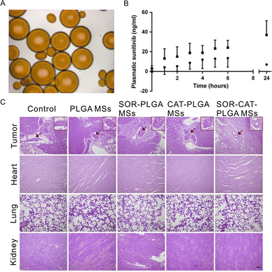 image file: d6cc01050d-f10.tif