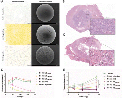 image file: d6cc01050d-f11.tif