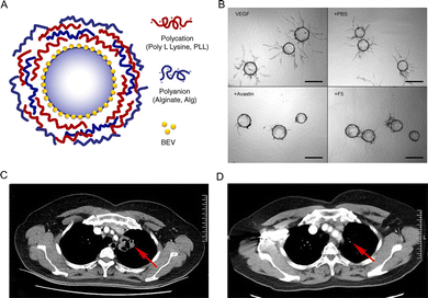 image file: d6cc01050d-f12.tif