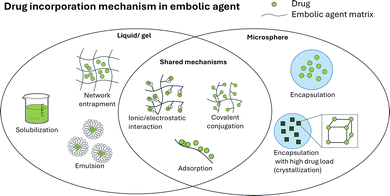 image file: d6cc01050d-f13.tif