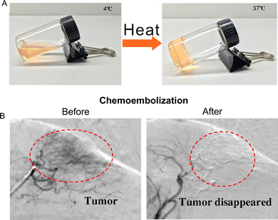 image file: d6cc01050d-f3.tif