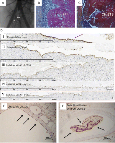 image file: d6cc01050d-f4.tif
