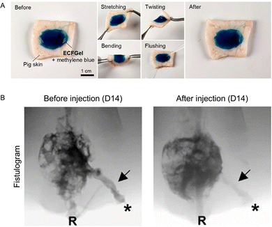 image file: d6cc01050d-f5.tif