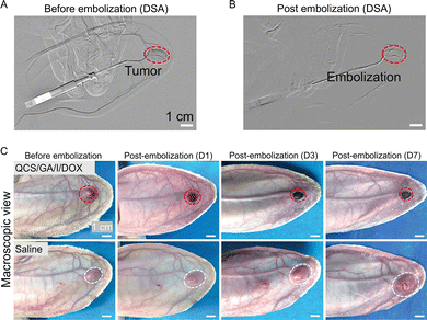 image file: d6cc01050d-f6.tif